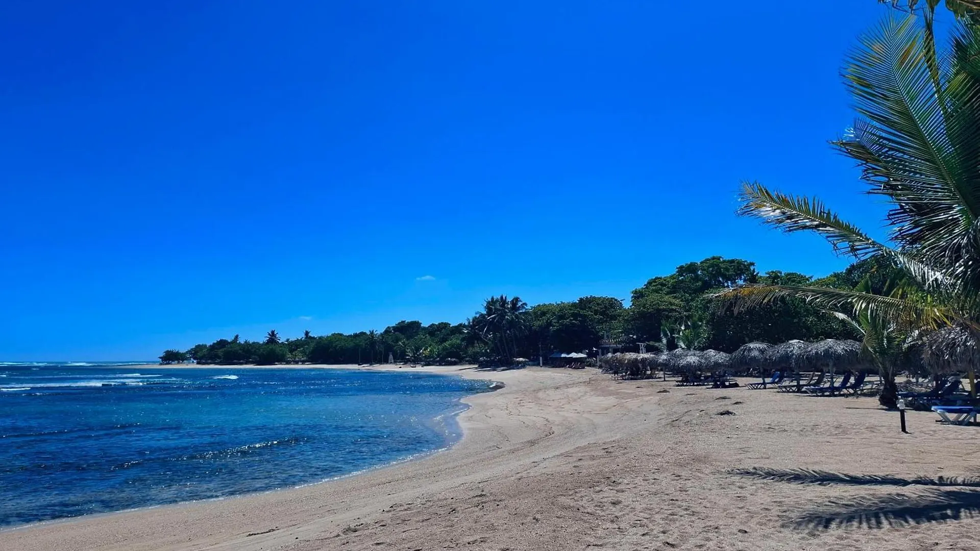 公寓 Costambar Beachfront Stay With Pool 普拉塔港 多米尼加共和国