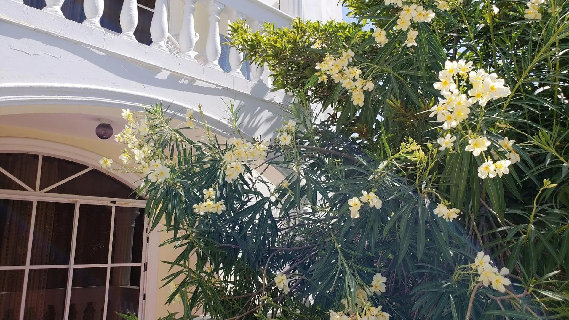 Costambar Beachfront Stay With Pool 普拉塔港